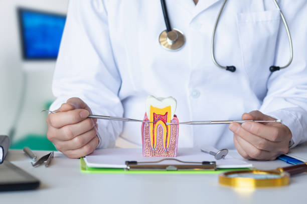 Best Emergency Tooth Extraction in Lake Delton, WI